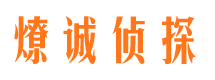 南充市婚外情调查